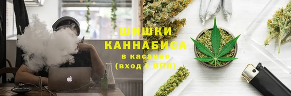 ГАЛЛЮЦИНОГЕННЫЕ ГРИБЫ Алексин