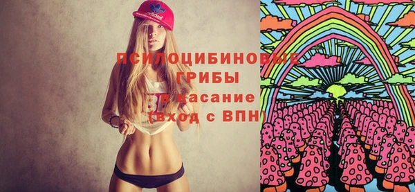 ГАЛЛЮЦИНОГЕННЫЕ ГРИБЫ Алексин