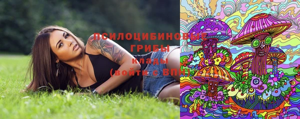 спайс Алексеевка