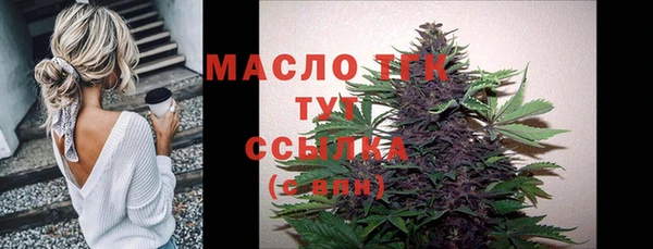 индика Абаза