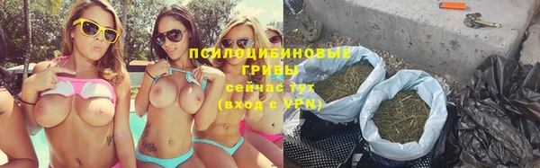 ГАЛЛЮЦИНОГЕННЫЕ ГРИБЫ Алексин