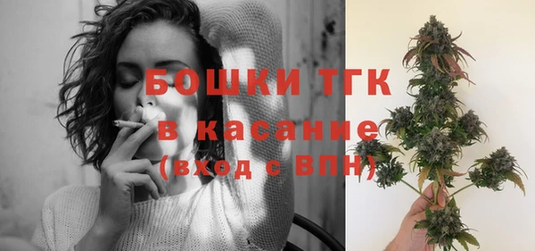 ГАЛЛЮЦИНОГЕННЫЕ ГРИБЫ Алексин