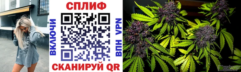 Марихуана THC 21%  Прохладный 
